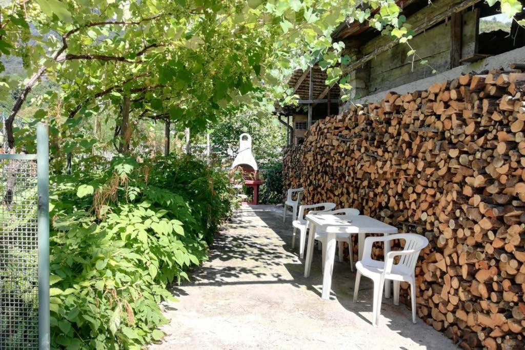 House Campi Διαμέρισμα Ρίβα ντελ Γκάρντα Εξωτερικό φωτογραφία